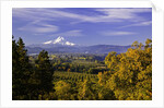 Mt. Hood, Hood River Valley, Columbia River Gorge National Scenic Area, Oregon by Anonymous