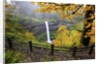 Fall colors add beauty to South Silver Falls, Silver Falls State Park, Oregon by Anonymous