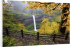 Fall colors add beauty to South Silver Falls, Silver Falls State Park, Oregon by Anonymous