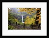 Fall colors add beauty to South Silver Falls, Silver Falls State Park, Oregon by Anonymous