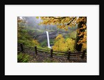 Fall colors add beauty to South Silver Falls, Silver Falls State Park, Oregon by Anonymous