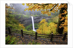 Fall colors add beauty to South Silver Falls, Silver Falls State Park, Oregon by Anonymous