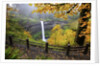 Fall colors add beauty to South Silver Falls, Silver Falls State Park, Oregon by Anonymous