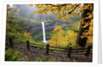 Fall colors add beauty to South Silver Falls, Silver Falls State Park, Oregon by Anonymous