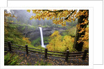 Fall colors add beauty to South Silver Falls, Silver Falls State Park, Oregon by Anonymous