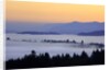 Sunrise through morning fog adds beauty to Happy Valley, Oregon, Pacific Northwest by Anonymous
