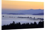 Sunrise through morning fog adds beauty to Happy Valley, Oregon, Pacific Northwest by Anonymous