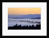 Sunrise through morning fog adds beauty to Happy Valley, Oregon, Pacific Northwest by Anonymous