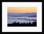 Sunrise through morning fog adds beauty to Happy Valley, Oregon, Pacific Northwest by Anonymous