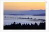 Sunrise through morning fog adds beauty to Happy Valley, Oregon, Pacific Northwest by Anonymous