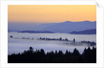 Sunrise through morning fog adds beauty to Happy Valley, Oregon, Pacific Northwest by Anonymous