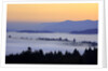 Sunrise through morning fog adds beauty to Happy Valley, Oregon, Pacific Northwest by Anonymous