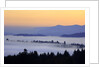 Sunrise through morning fog adds beauty to Happy Valley, Oregon, Pacific Northwest by Anonymous