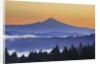 Sunrise through morning fog adds beauty to Happy Valley, Oregon, Pacific Northwest by Anonymous