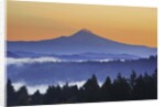 Sunrise through morning fog adds beauty to Happy Valley, Oregon, Pacific Northwest by Anonymous