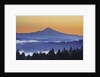 Sunrise through morning fog adds beauty to Happy Valley, Oregon, Pacific Northwest by Anonymous