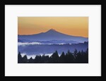Sunrise through morning fog adds beauty to Happy Valley, Oregon, Pacific Northwest by Anonymous