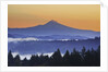 Sunrise through morning fog adds beauty to Happy Valley, Oregon, Pacific Northwest by Anonymous