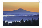 Sunrise through morning fog adds beauty to Happy Valley, Oregon, Pacific Northwest by Anonymous