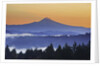 Sunrise through morning fog adds beauty to Happy Valley, Oregon, Pacific Northwest by Anonymous