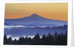 Sunrise through morning fog adds beauty to Happy Valley, Oregon, Pacific Northwest by Anonymous