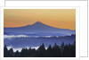 Sunrise through morning fog adds beauty to Happy Valley, Oregon, Pacific Northwest by Anonymous