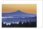 Sunrise through morning fog adds beauty to Happy Valley, Oregon, Pacific Northwest by Anonymous