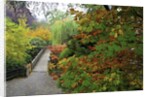 Fall colors, Crystal Spring Garden, Portland, Oregon by Anonymous