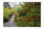 Fall colors, Crystal Spring Garden, Portland, Oregon by Anonymous