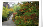 Fall colors, Crystal Spring Garden, Portland, Oregon by Anonymous