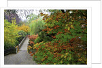 Fall colors, Crystal Spring Garden, Portland, Oregon by Anonymous
