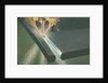 Flame Cutting Tool by Anonymous