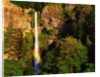 Multnomah Falls rainbow by Anonymous