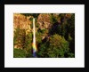 Multnomah Falls rainbow by Anonymous