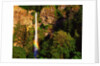 Multnomah Falls rainbow by Anonymous