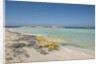 Balearic Islands - Ses Illetes beach by Anonymous