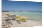 Balearic Islands - Ses Illetes beach by Anonymous