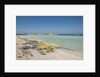 Balearic Islands - Ses Illetes beach by Anonymous