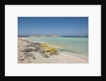 Balearic Islands - Ses Illetes beach by Anonymous