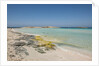 Balearic Islands - Ses Illetes beach by Anonymous
