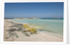 Balearic Islands - Ses Illetes beach by Anonymous