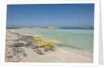 Balearic Islands - Ses Illetes beach by Anonymous