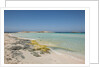 Balearic Islands - Ses Illetes beach by Anonymous