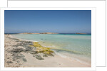 Balearic Islands - Ses Illetes beach by Anonymous