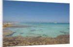 Balearic Islands - beach called 'platja de LLevant', parc des salines by Anonymous