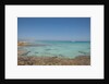 Balearic Islands - beach called 'platja de LLevant', parc des salines by Anonymous