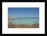 Balearic Islands - beach called 'platja de LLevant', parc des salines by Anonymous
