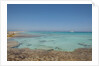 Balearic Islands - beach called 'platja de LLevant', parc des salines by Anonymous