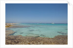 Balearic Islands - beach called 'platja de LLevant', parc des salines by Anonymous