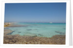 Balearic Islands - beach called 'platja de LLevant', parc des salines by Anonymous